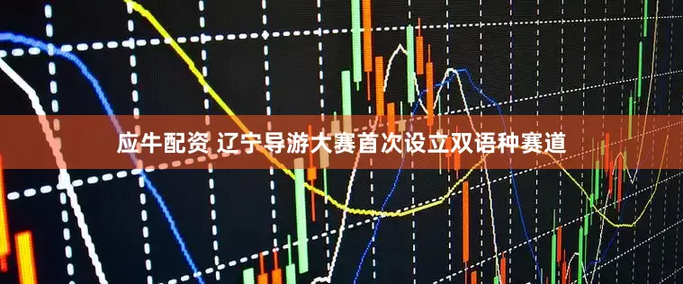 应牛配资 辽宁导游大赛首次设立双语种赛道