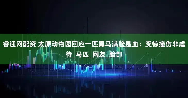 睿迎网配资 太原动物园回应一匹黑马满脸是血：受惊撞伤非虐待_马匹_网友_脸部