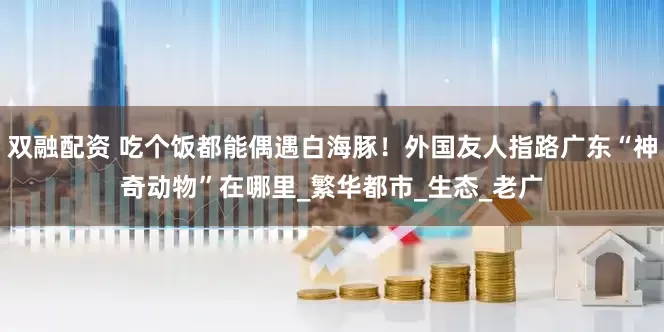 双融配资 吃个饭都能偶遇白海豚！外国友人指路广东“神奇动物”在哪里_繁华都市_生态_老广