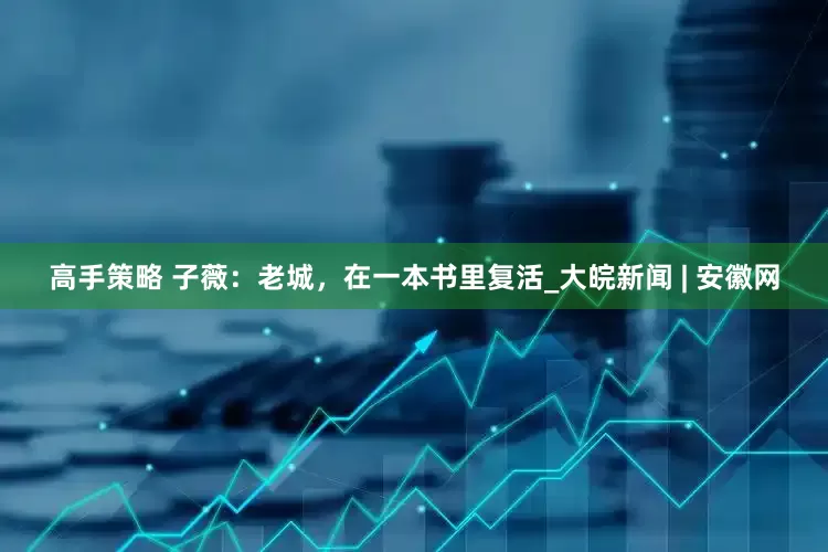 高手策略 子薇：老城，在一本书里复活_大皖新闻 | 安徽网