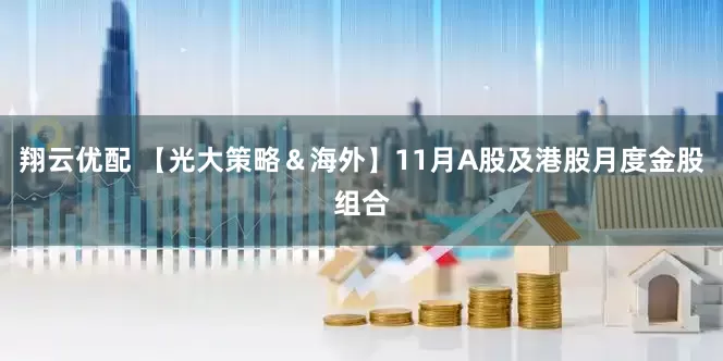 翔云优配 【光大策略＆海外】11月A股及港股月度金股组合
